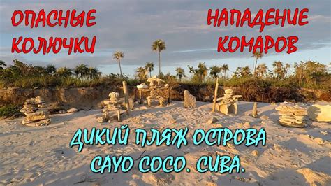 🇨🇺КУБА.🏝ПЛЯЖ ОСТРОВА КАЙО КОКО.🦟ЗЛЫЕ КОМАРЫ.🔥ОПАСНЫЕ КОЛЮЧКИ. КРАБ ...