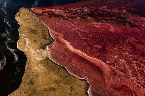 Озеро Натрон (Большое количество фото) - treepics.ru