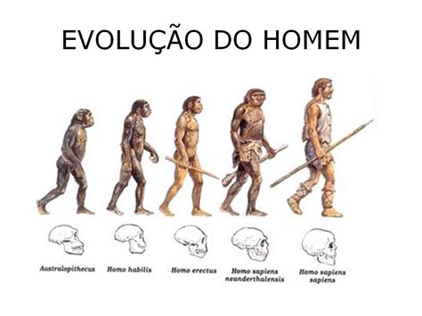 A Evolução Do Homem