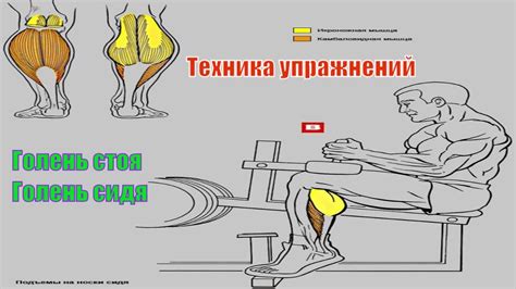 Голень стоя. Голень сидя в тренажёре - YouTube