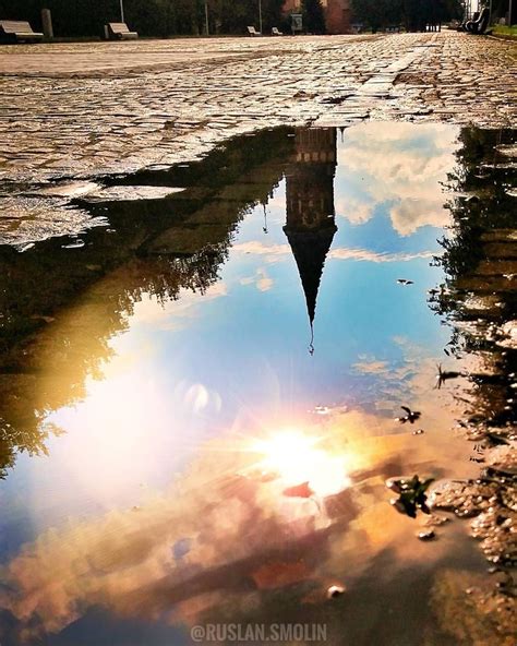 Отражение в луже. Фото: Руслан Смолин... | Интересный контент в группе ...