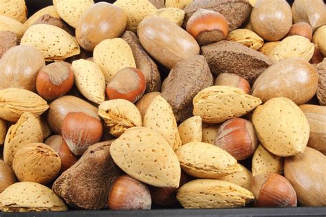 Nut consumption may enhance fertility for men, suggests study