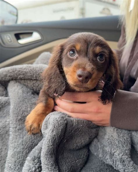 Madelyn Logie (@firstgenbarbie) • Instagram photos and videos