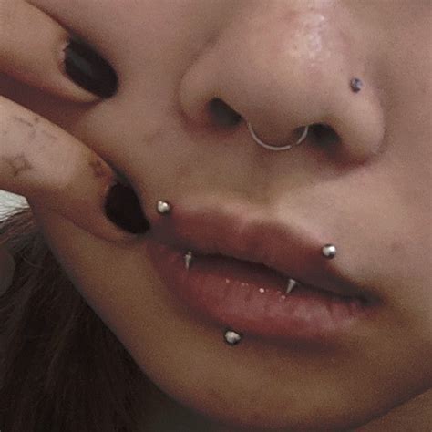 Kitten Fang Piercings