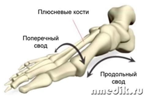 Степени и виды плоскостопия, лечение и профилактика | nmedik.org