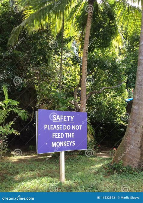 Do Not Feed Monkeys Sign in English in Front of Jungle Background Stock ...