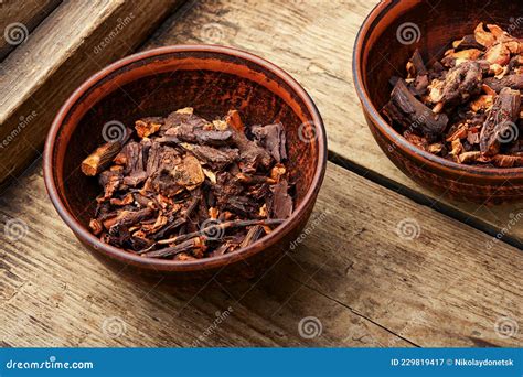 Rubia Tinctorum in Herbal Medicine Stock Image - Image of plant ...