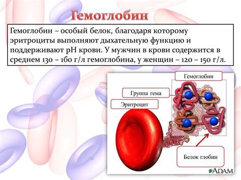 Низкий гемоглобин
