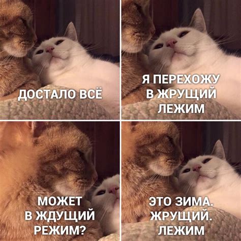 Смешная картинка №452146 - Прикол, мем про Я ПЕРЕХОЖУ В ЖРУЩИЙ ДОСТАЛО ...