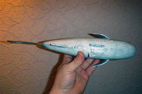 Spearfish.org - Spearfish.org