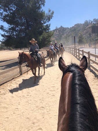 LA Horse Rentals (Glendale) - 2021 All You Need to Know BEFORE You Go ...