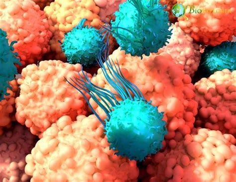 Top Immunology News of 2021 | BioExplorer.net