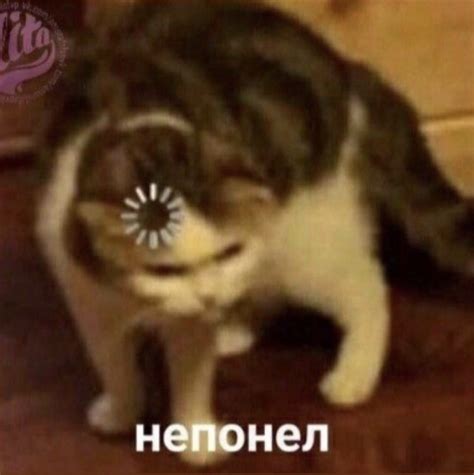 Мемас непонел (с изображениями) | Веселые мемы, Веселые картинки, Мемы