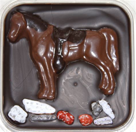 CHOCOLATE HORSES! (The kind you eat...) - Horse and Man