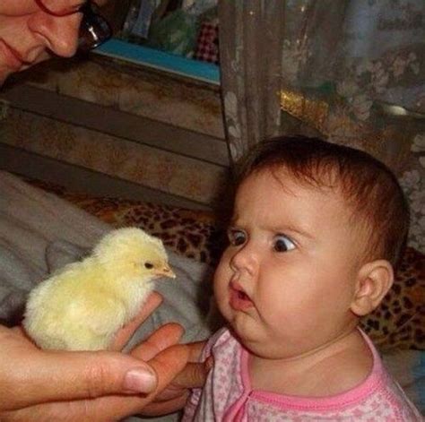 This chick has done something to greatly offend this baby. Funny Baby ...