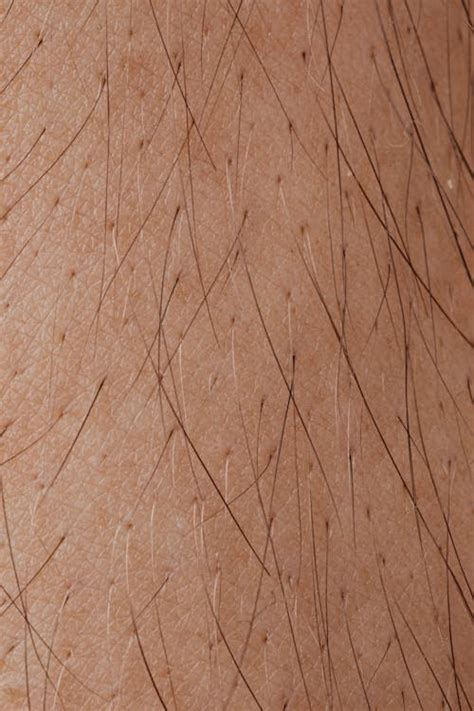 skin texture     pexels stock