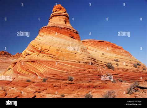 wave   vermilion cliffs national monument  national park