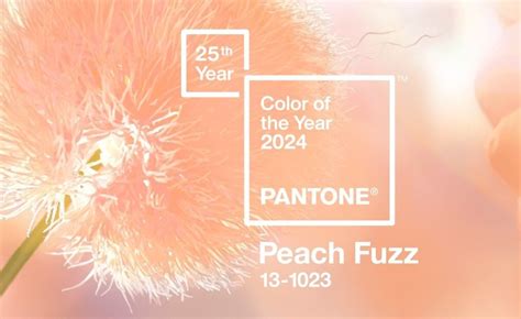 Pantone назвал главный цвет 2024 года | Блог Printhit