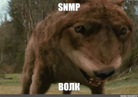 Meme: "SNMP ВОЛК" - All Templates - Meme-arsenal.com
