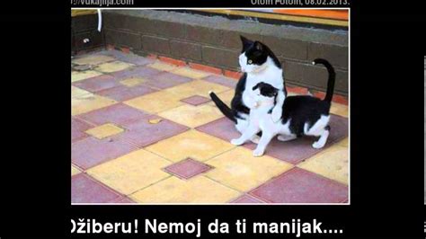 SMESNE SLIKE/FUNNY PICTURES - YouTube