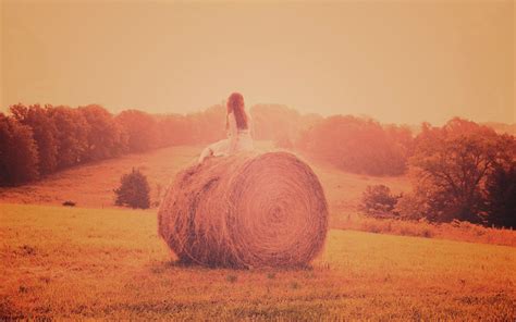 Сноп сена - фото и картинки: 59 штук