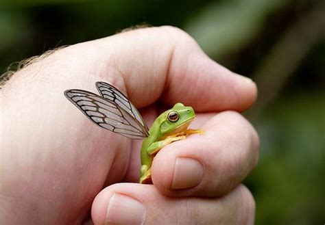Really Cute Rare Animals - Animals World