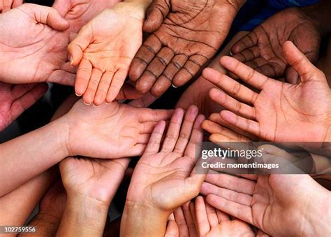 multicultural hands stock  high res pictures  images