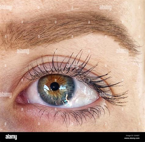 hazel eyes  black black people hazel eyes tumblr
