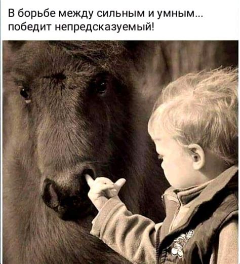 Весёлые картинки #40 - Vasya Petrov — КОНТ