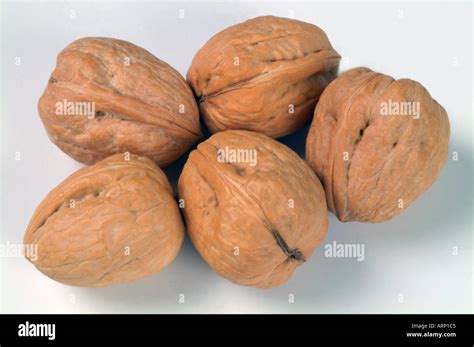 Whole Walnut walnuts in shell shells Stock Photo - Alamy