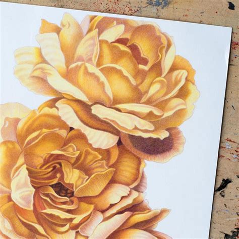 color pencil shading