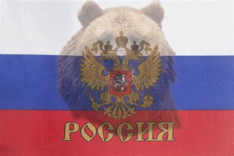 Brown Russian Bear on the Russian Flag Stock Image - Image of logo ...