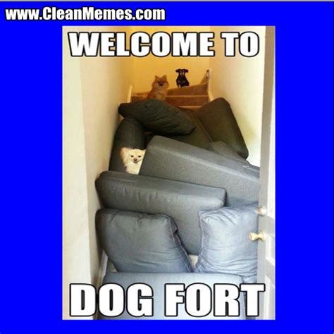Dog Fort – Clean Memes