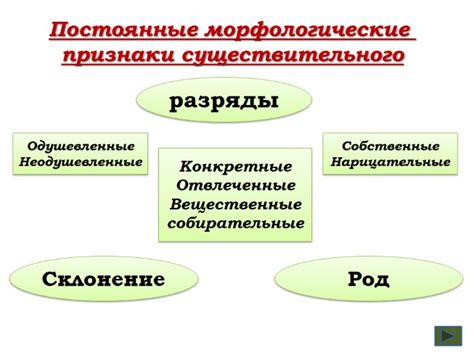 Презентация - Морфологический разбор существительного