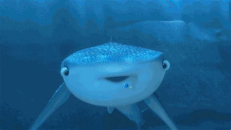 Disney — Brush up on your whale. Finding Dory is in...