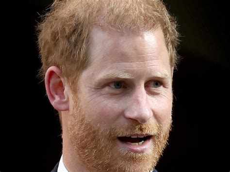 prince harry daily telegraph