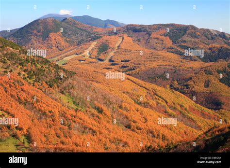 Nagano Prefecture, Japan Stock Photo - Alamy