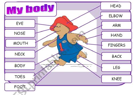 My body 2 /2 Poster for the class - ESL worksheet by soasiglem