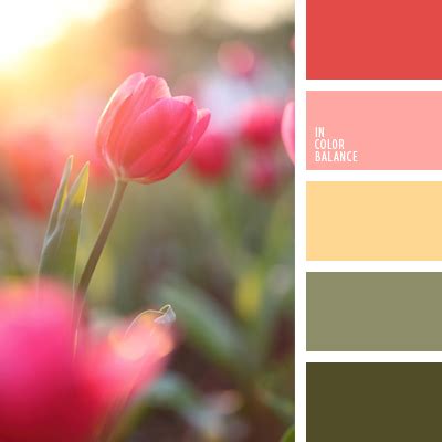 военно-зеленый цвет | IN COLOR BALANCE
