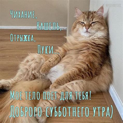 Картинка утро субботы веселая картинки (38 фото)