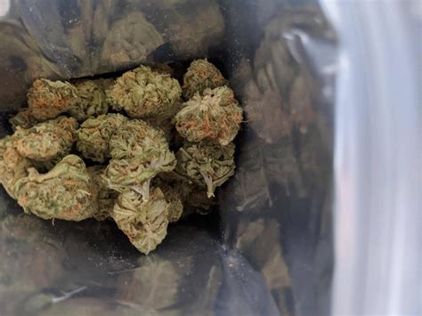 Trailer Park Buds (two birds sativa) : CanadianCannabisLPs