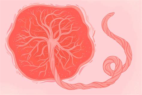 There Are Risks of Eating the Placenta—Here’s What Experts Say in 2025