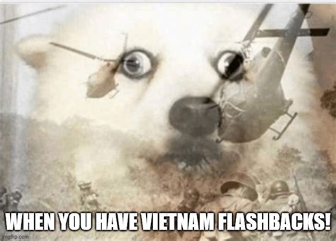 Vietnam Flashback Memes #CapCut This Took Too Long#dog #vietnam