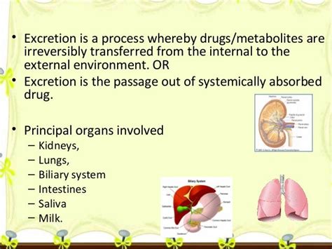 Drug excretion