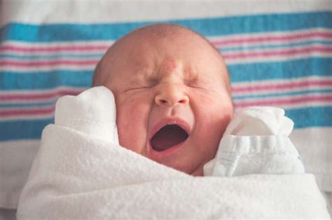 First detailed insight into newborn babies’ lungs at birth – Hale Plus ...