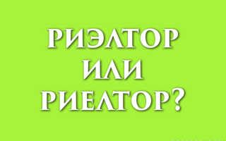 Риэлтор или риелтор, риэлтер: как правильно пишется слово?