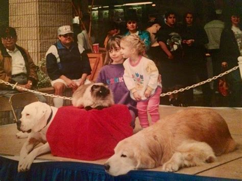 Homeward Bound Pets Movie - Homeward Bound Emotional Ending Try Not ...