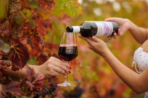«Casa Petru»: "Un pahar de vin pentru sănătatea ta!”