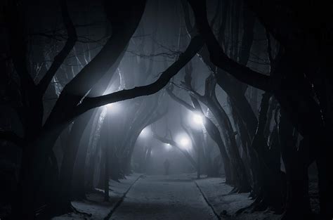 Далеко ли до города? (Екатерина Шалевич) / Стихи.ру