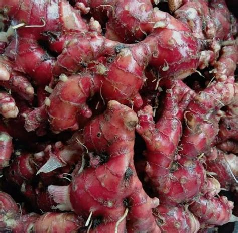 red ginger pp bag  kg  nizamabad id